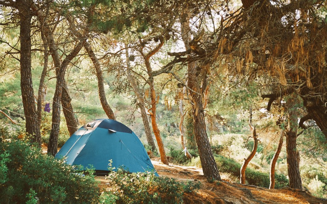 Family-Friendly Backyard Camping Ideas