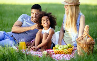 How To Plan The Perfect Picnic For Your Family