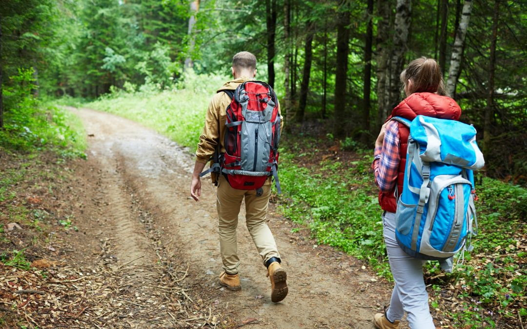 Essential Items For A Day Hike