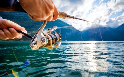 Understanding Fish Senses For Successful Fishing